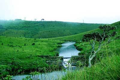 Horton plains National Park | walklankatours.com